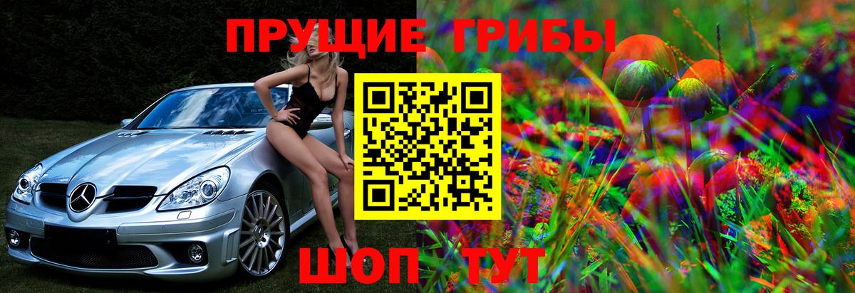 Всеволожск  Псилоцибиновые грибы мицелий  Вход с VPN 